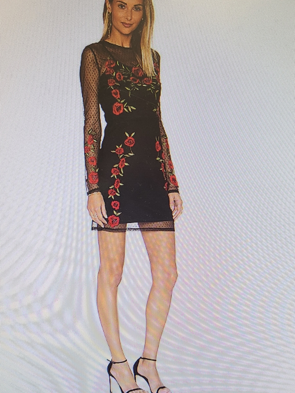 Lovers + Friends Black Mesh Mini Dress with Red Rose Embroidery